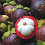 buah mesta